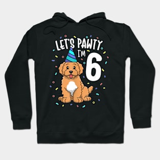 I'M 6 Goldendoodle Dog 6Th Birthday Party Hoodie